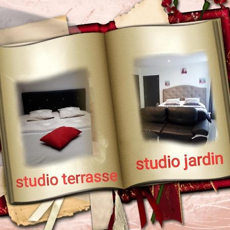 Appartement Au Paradis des Crins avec un studio rez de chaussée jardin et studio en duplex avec terrasse à Templeuve-en-Pevele Extérieur photo