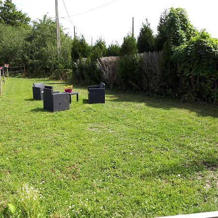 Appartement Au Paradis des Crins avec un studio rez de chaussée jardin et studio en duplex avec terrasse à Templeuve-en-Pevele Extérieur photo