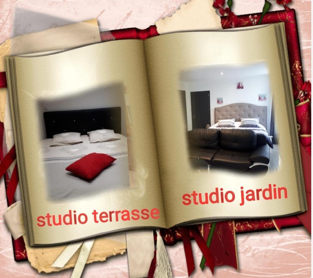Appartement Au Paradis des Crins avec un studio rez de chaussée jardin et studio en duplex avec terrasse à Templeuve-en-Pevele Extérieur photo