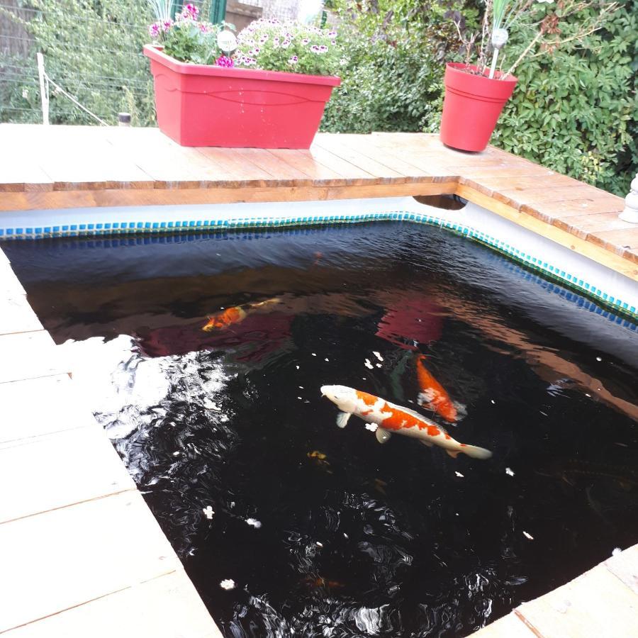 Appartement Au Paradis des Crins avec un studio rez de chaussée jardin et studio en duplex avec terrasse à Templeuve-en-Pevele Extérieur photo
